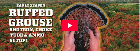 MNRecruiter's tweet photo. Back in the Northwoods! Early Season Ruffed Grouse Hunting Video 
https://t.co/d1ii07qq4P https://t.co/lWkBwsh7Wc