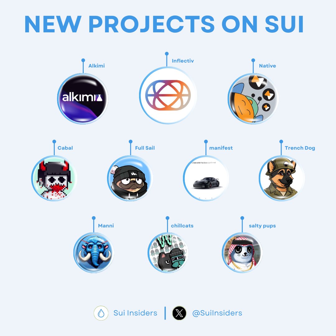 SuiInsiders's tweet image. NEW PROJECTS ON SUI NETWORK 🔥

$SUI is growing rapidly, with more and more promising new projects building on it 😍

Let’s take a look! Did we miss any projects?🤔

Like and RT to support us 🙏

#Sui #SuiNetwork #GiveRep