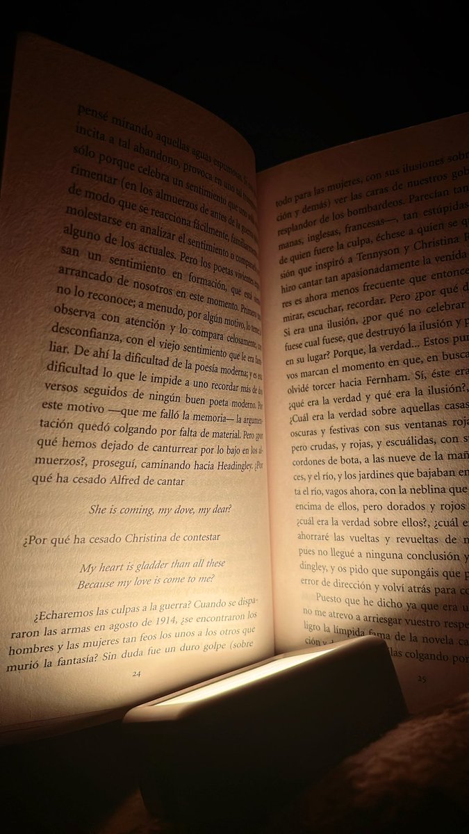 Aunque ya nadie me regañe por desvelarme, con una mini lamparita me escondí en la penumbra y entre letras.
Escapar de un mundo y viajar a otros, me sentí por un momento en la secundaria. Escondida -cobijada-entre la luz, las sombras y las páginas.