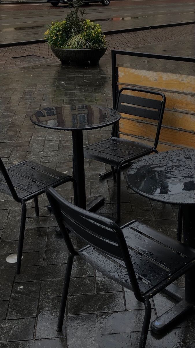 talya9646171863's tweet photo. Cozy weather https://t.co/VIOFv0Xw4t