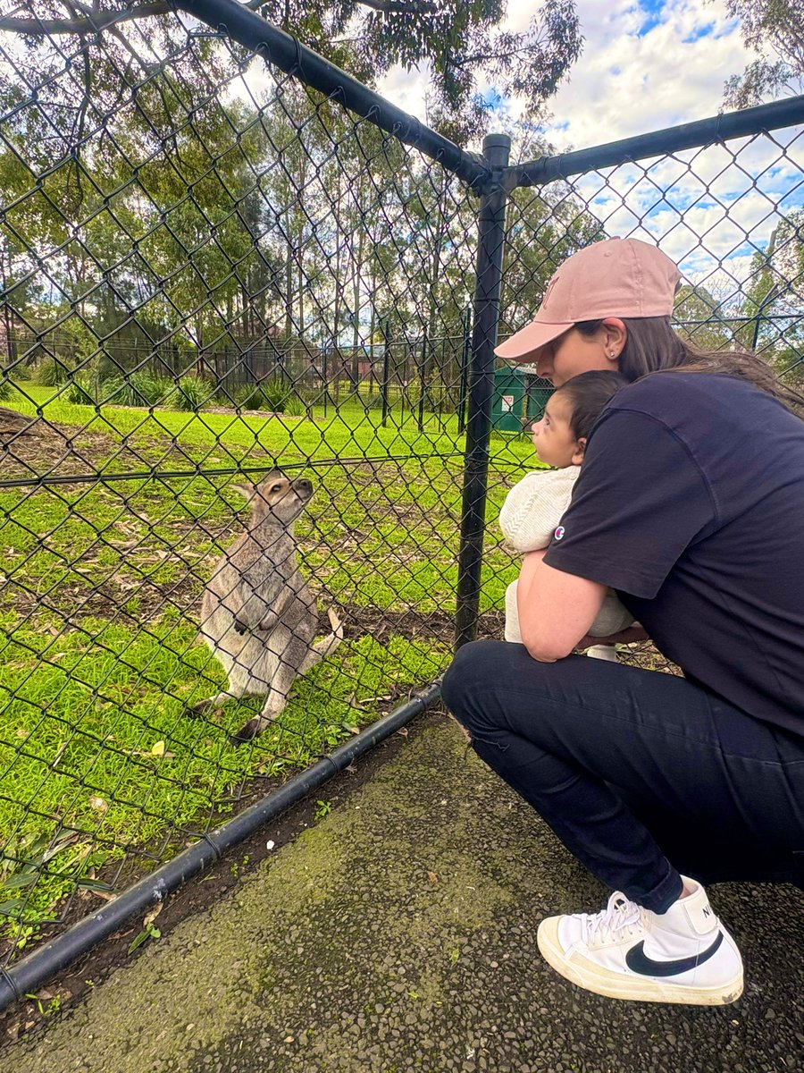 Reading, observing &amp; feeling are the best ways for a child to learn. What better way to teach a child than to have them explore this in real life? Ps.. there was no touching of the wallaby 🤣