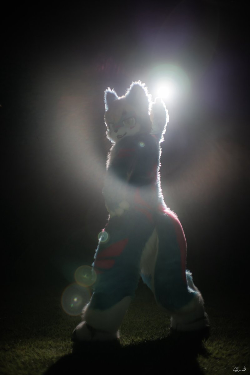 #FursuitEverday #Aru #阿鲁

✨✨✌️

📸:<a href="/Fluffy_fur_Fox/">_Fluffy_Fox 🔜 집</a>