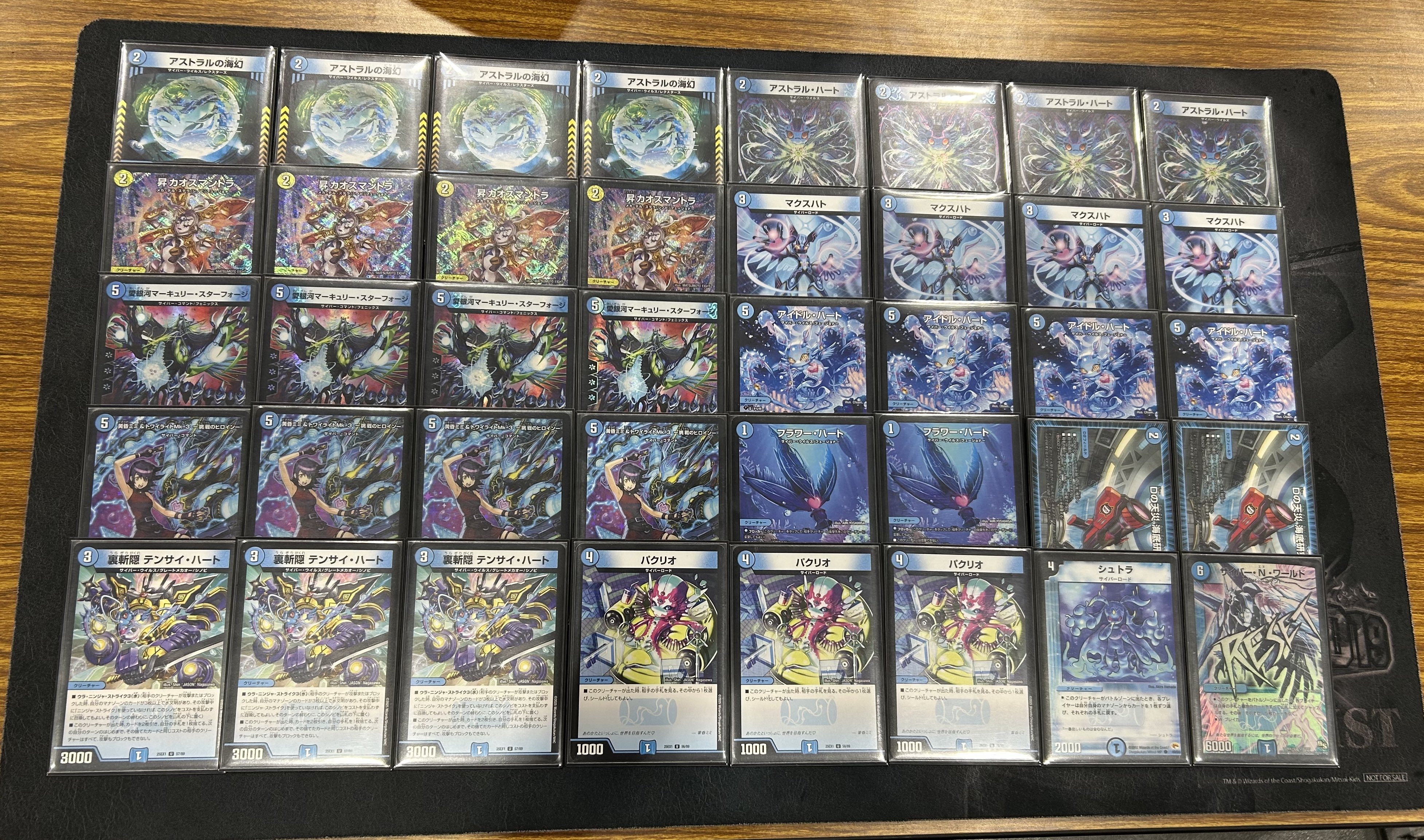アーチーCS ー 現存性Neutraling ー アーチーCS ー 現存性Neutraling ー Aiming to be number one in
