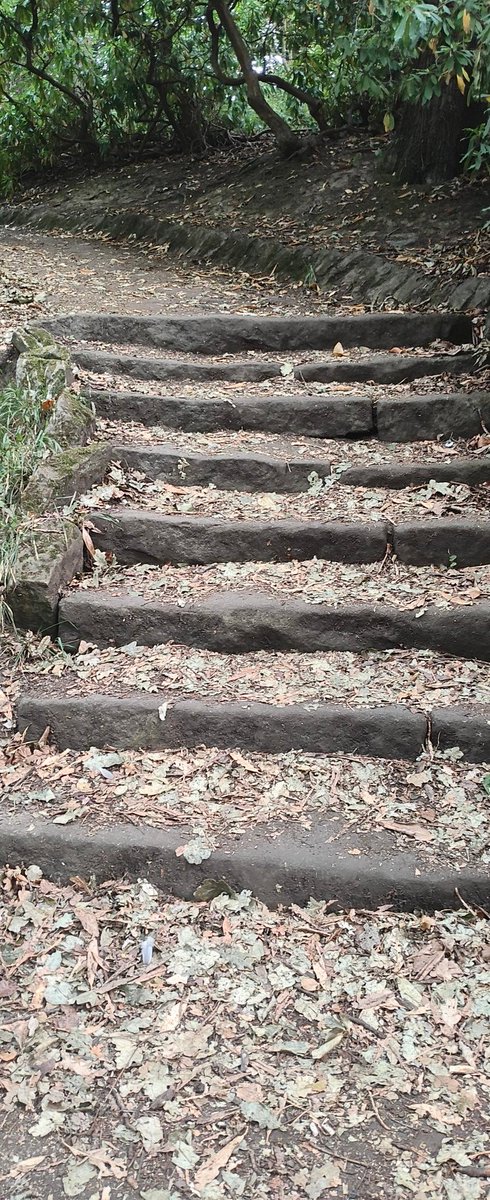 Jesmond Dene parkrun tweet media