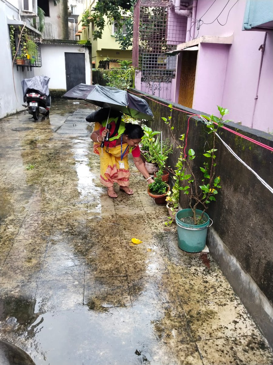 kmc_kolkata's tweet image. A few pictures of the frontline workers of the Vector Control Team on duty across the city.

#VectorControlByKMC #KMConDuty
