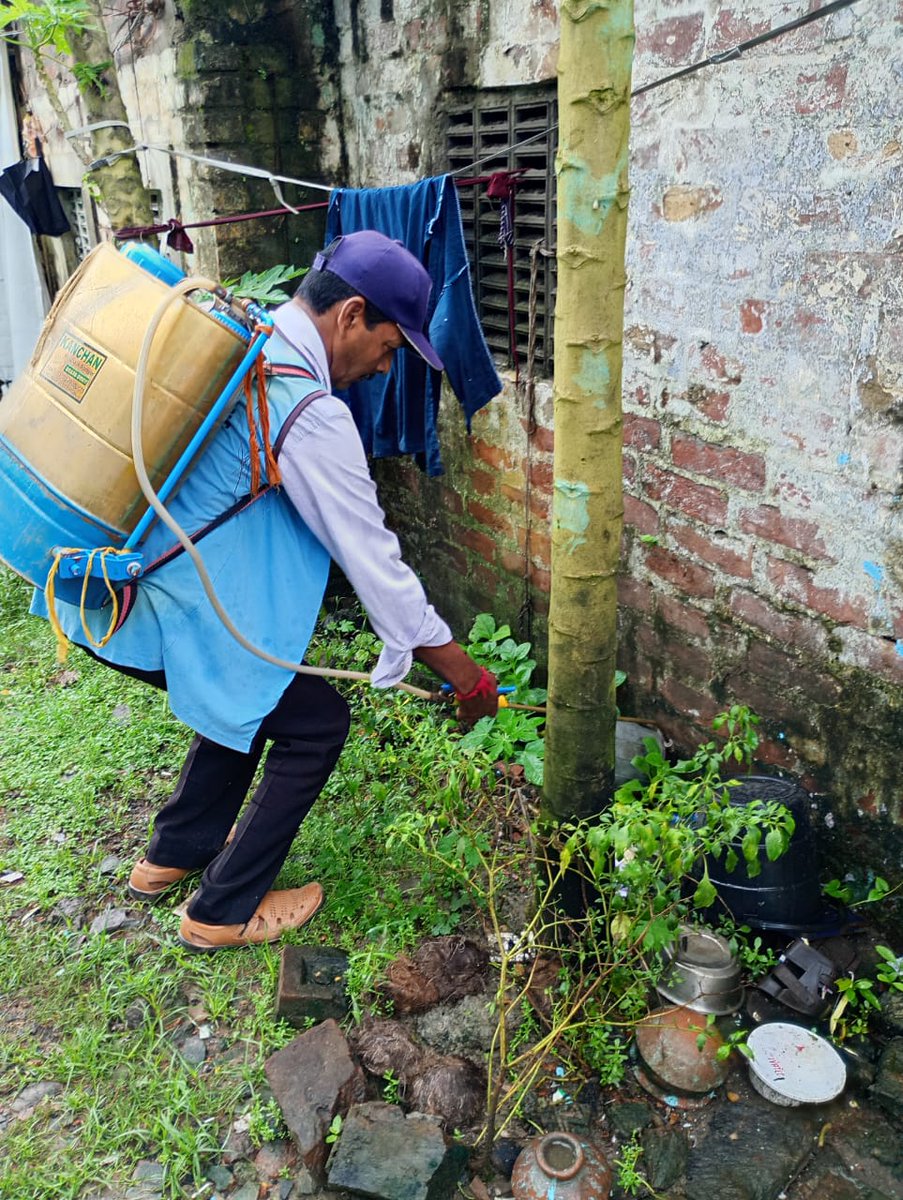 kmc_kolkata's tweet image. A few pictures of the frontline workers of the Vector Control Team on duty across the city.

#VectorControlByKMC #KMConDuty