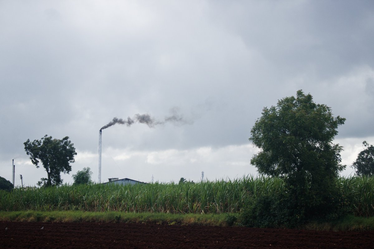 Is there a link between air pollution and hearing loss?

I found answers to this complex question in my debut story for <a href="/thexylom/">The Xylom</a> 

Do read:

thexylom.com/post/air-pollu…