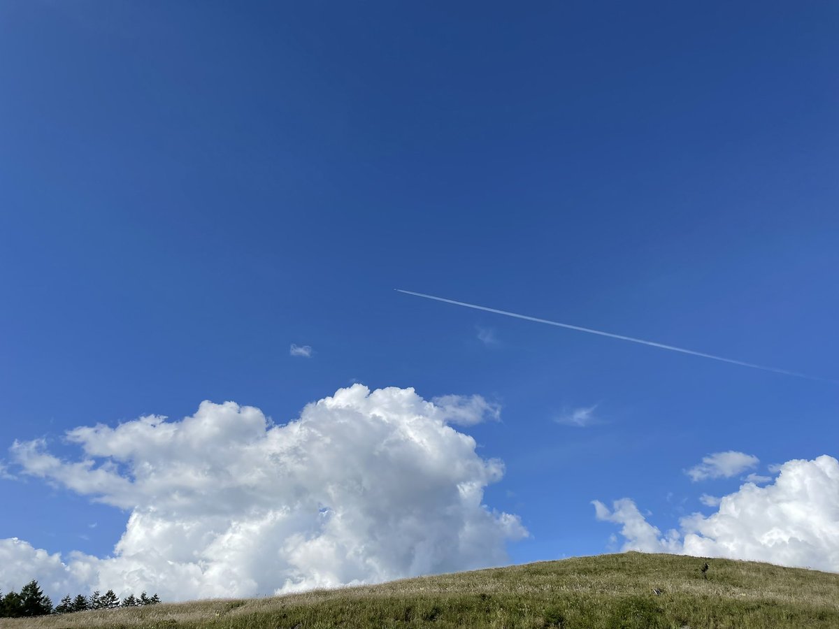 code_finalis's tweet image. 夏の日の思い出に
絵に使えそうな雲を
集めて見ました。