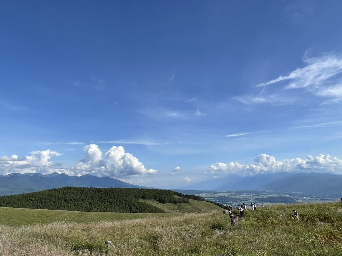 code_finalis's tweet image. 夏の日の思い出に
絵に使えそうな雲を
集めて見ました。