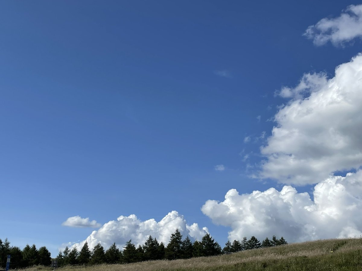 code_finalis's tweet image. 夏の日の思い出に
絵に使えそうな雲を
集めて見ました。