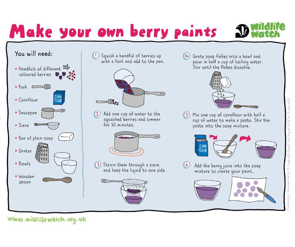 Channel your artistic side with your very own berry paints 🎨

Please do make sure you are only using non-toxic berries such as blackberries

#artproject #art #activities