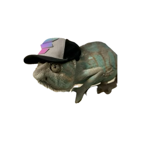 Butterfingers (@handsofbutter) on Twitter photo 