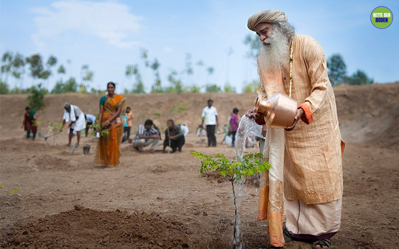 "Wenn Du Dinge aus Gewohnheit tust, scheint es einfacher zu sein. Aber ohne Bewusstes Handeln gibt es kein Wachstum."

#RetteDenBoden #BewussterPlanet
#SadhguruWeisheit #TäglicheWeisheit
#NachInnenWenden #Gewohnheit #BewusstSein #Wachstum #Entwicklung #Persönlichkeitsentwicklung