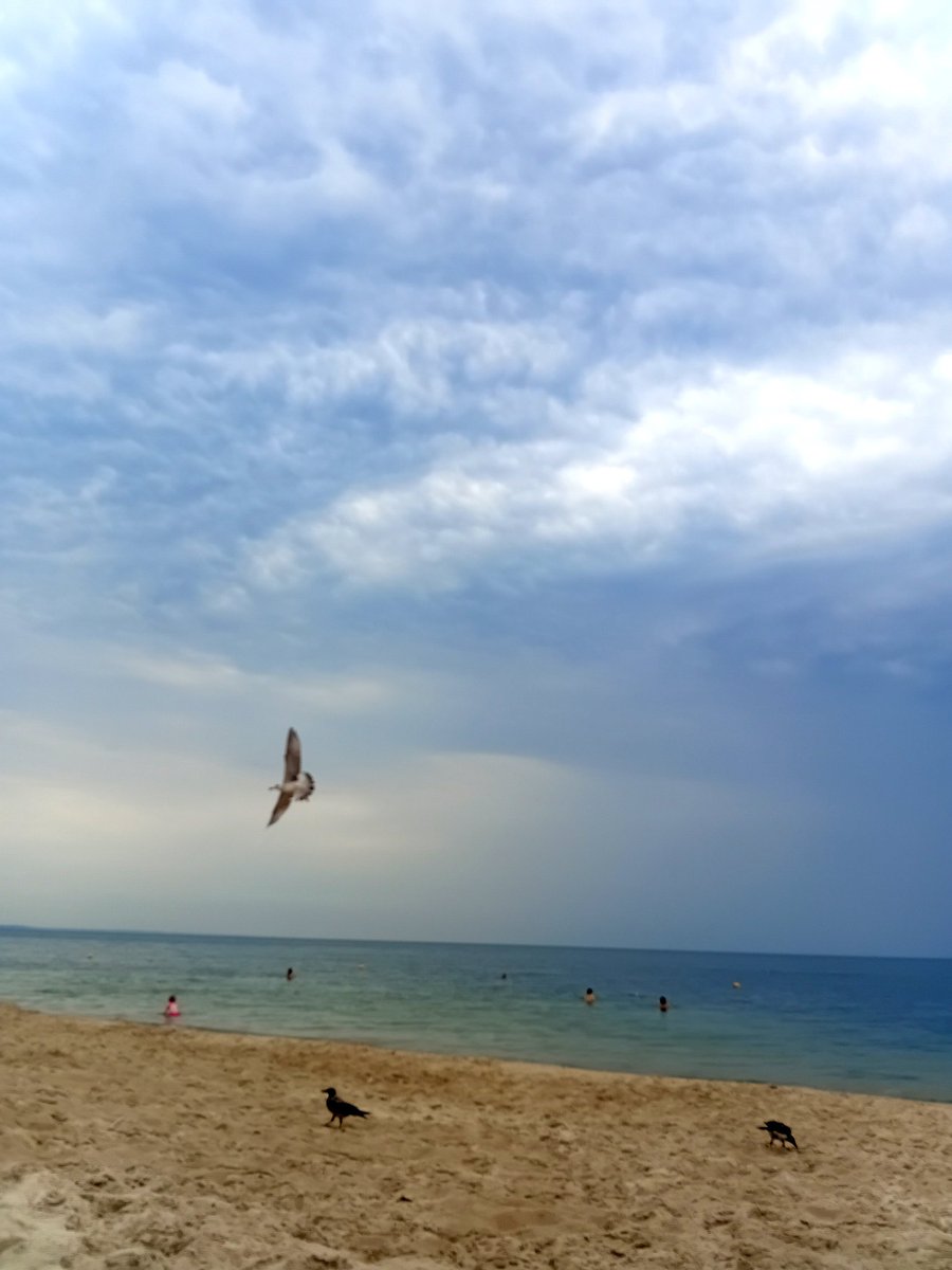 Катерина Галич tweet media