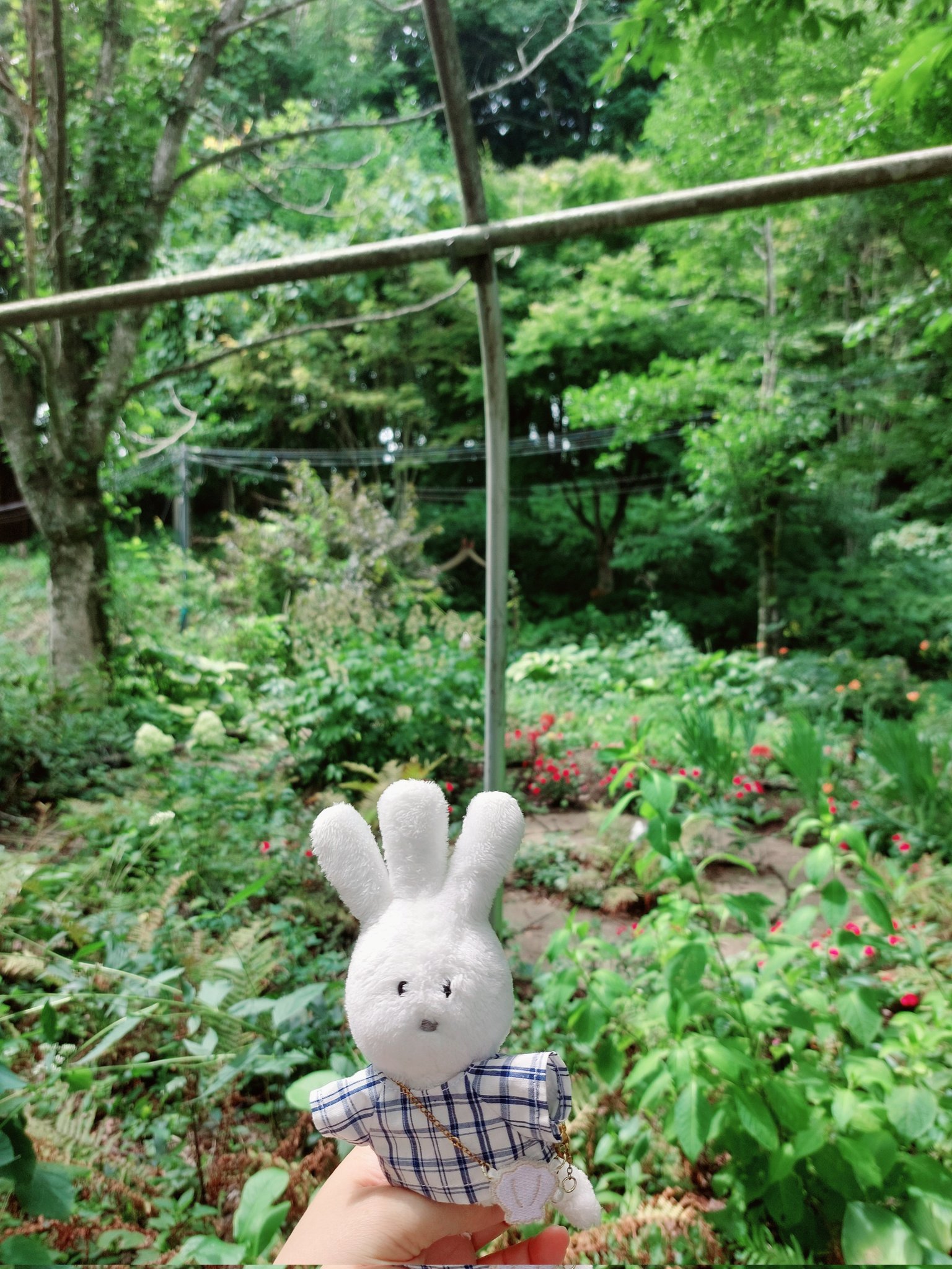 おじぎちゃん - Search / X