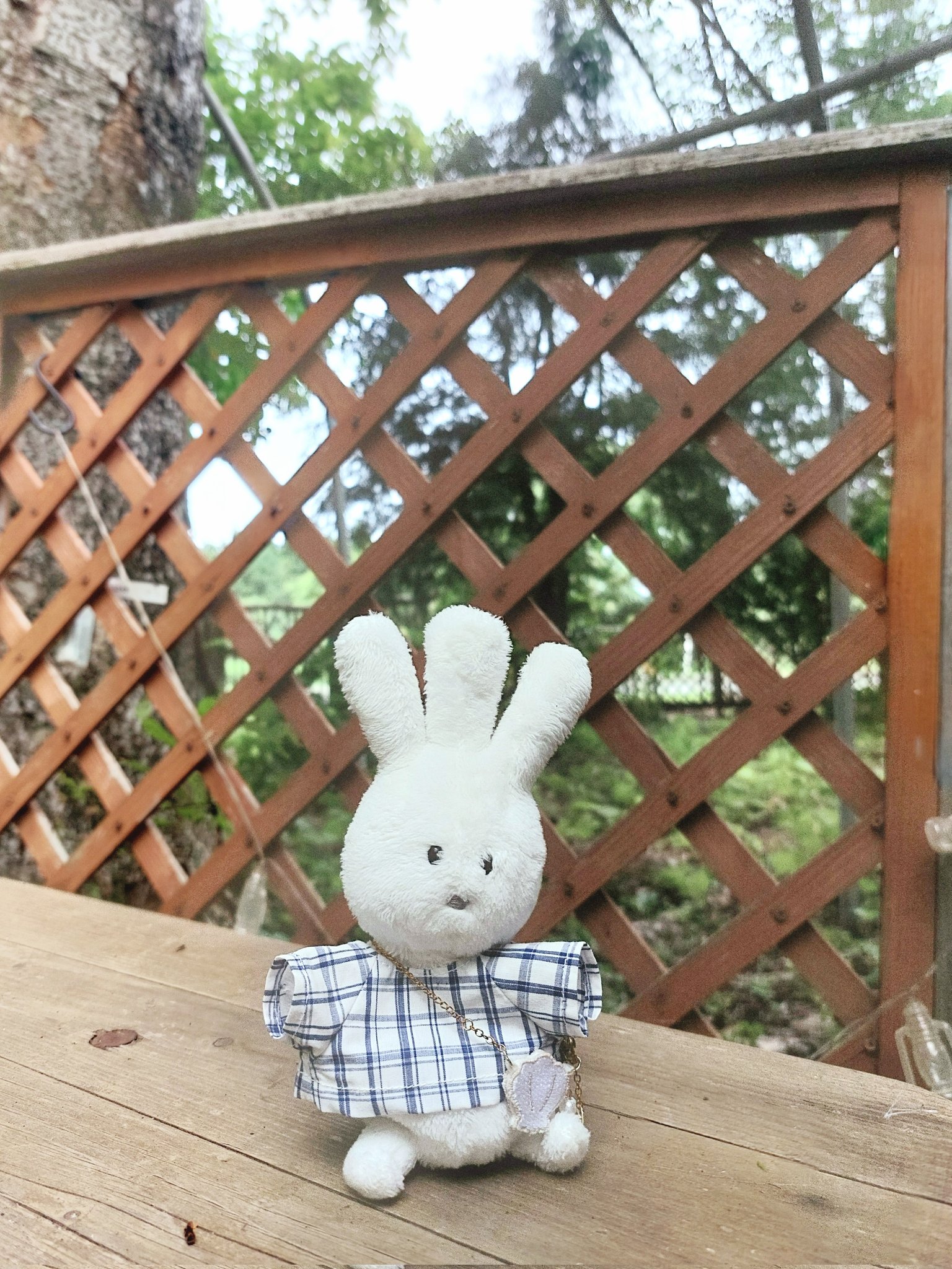 おじぎちゃん♥ おじぎちゃん (@ojigi_beach) / X