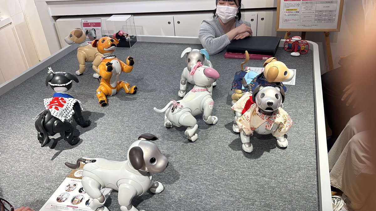 きょうちゃん【aibo❤︎なな❤︎はち♠︎くう❤︎】 (@aibo_nana_hachi