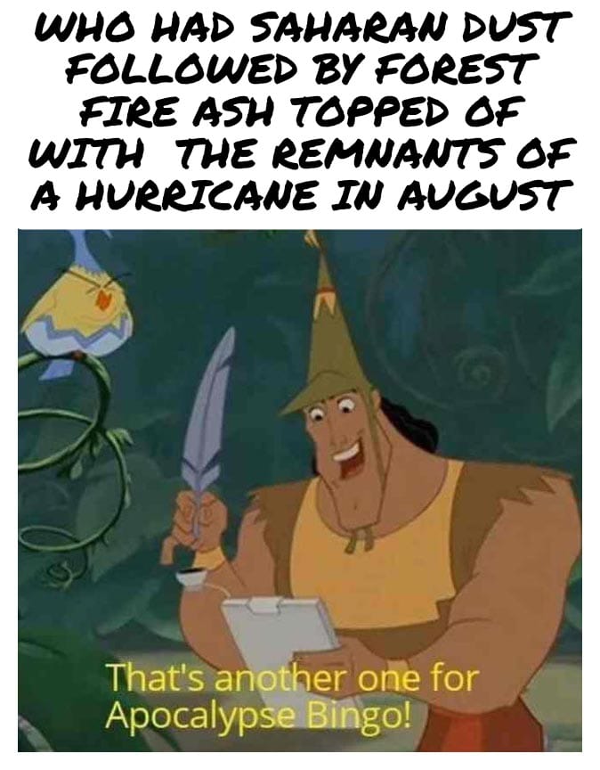 Mister Moose 🇮🇪🆓️💪🏻 tweet media