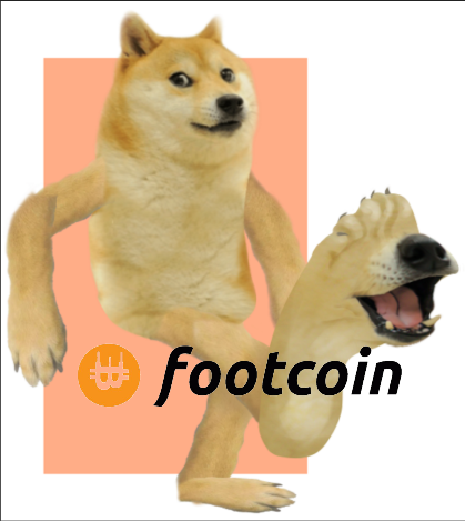 Bongdoge's tweet photo. @Footcoin_CTO @JamesWynnReal Put that #footup Buy $footcoin and hold, we will send this thing.
#doge #pepe #bonk #shiba #babydoge https://t.co/XmNqsK0BDn