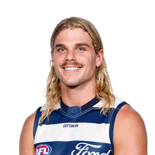 TigesShowYo tweet media