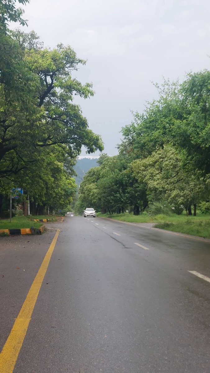 ExploreNature Tour guide (@syedattara) on Twitter photo Lush and green streets of Islamabad the beautiful ❤️
#SyedOdessyTours
#NatureBeauty <a href="/PakistanJannatt/">Pakistan Tourism</a> Lush and green streets of Islamabad the beautiful ❤️
#SyedOdessyTours
#NatureBeauty <a href="/PakistanJannatt/">Pakistan Tourism</a>