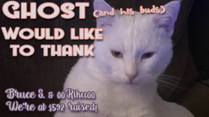CRschilliger's tweet photo. Very near $600 so far! Thanks for the donations yesterday, Bruce and 00Riku00! #CatsOfTwitter #CatsAreFamily #GoFundMe https://t.co/92cF8HPBc2