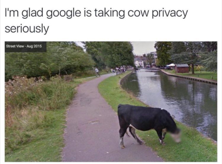 WholesomeMemes (@wholesomememe) on Twitter photo 