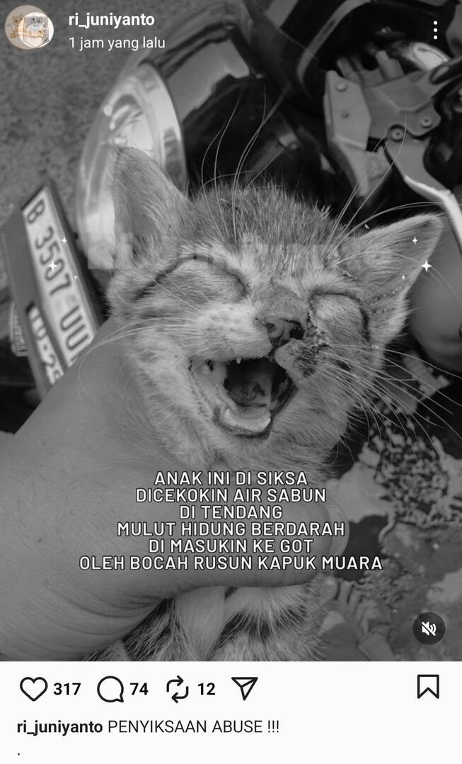 kcg! ⚠️ animal abuse ⚠️

ga kuat bgt ya Allah bocah2 kenapa brutal bgt😭😭

yang mau meringankan beban kakaknya boleh mampir ke ig nya ya, dia suka rescue kucing2 yang butuh pertolongan daerah jakarta