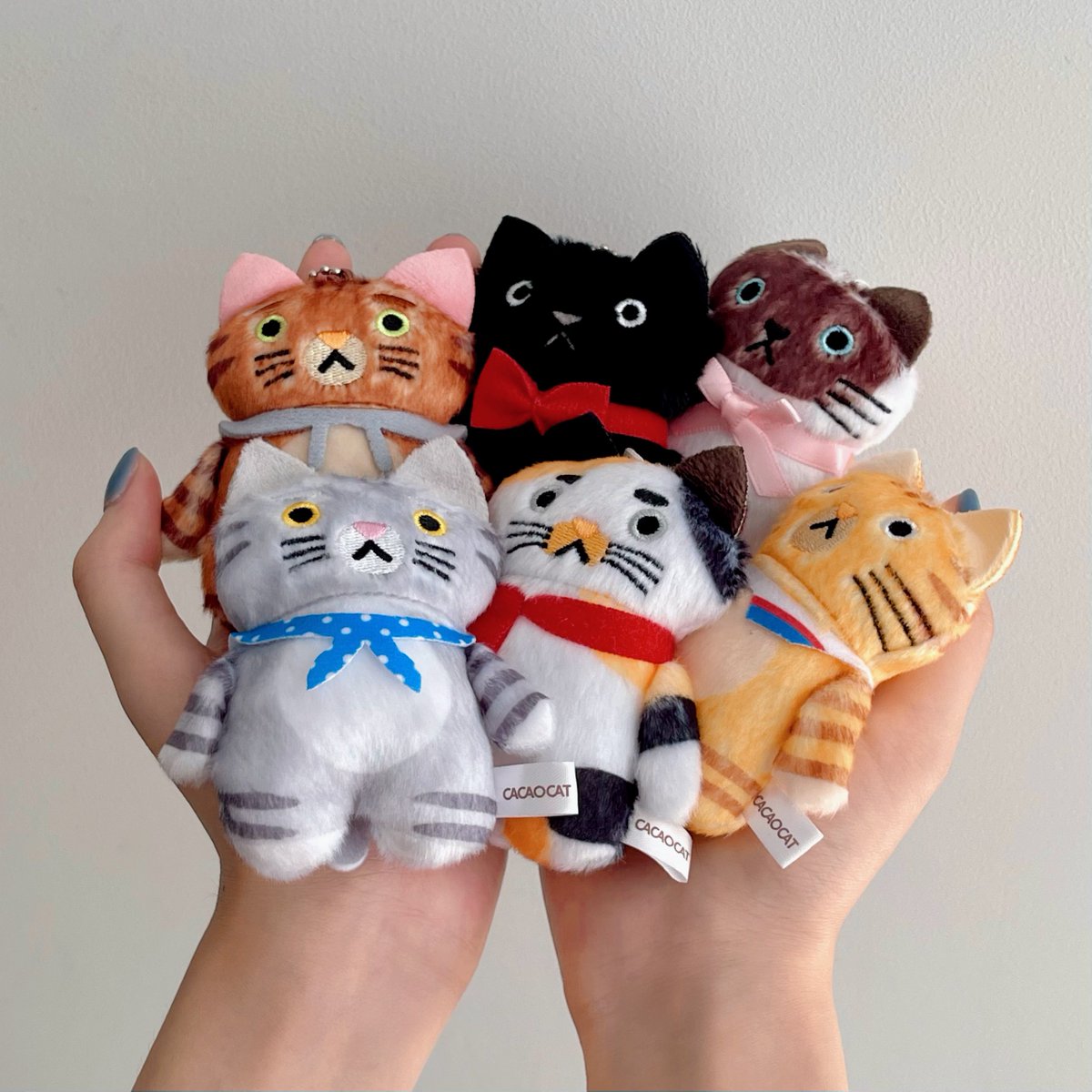 CACAOCAT もふもふぬいぐるみ 猫が集まる喫茶店「ドリップキャット