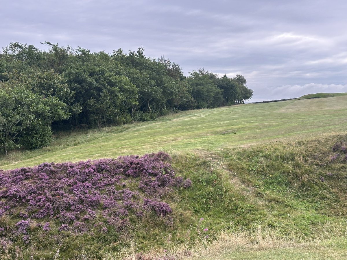 Royal <a href="/burnleygolfclub/">Burnley Golf Club</a> looking resplendent today with, my <a href="/StewartGolf/">Stewart Golf</a> QFollow