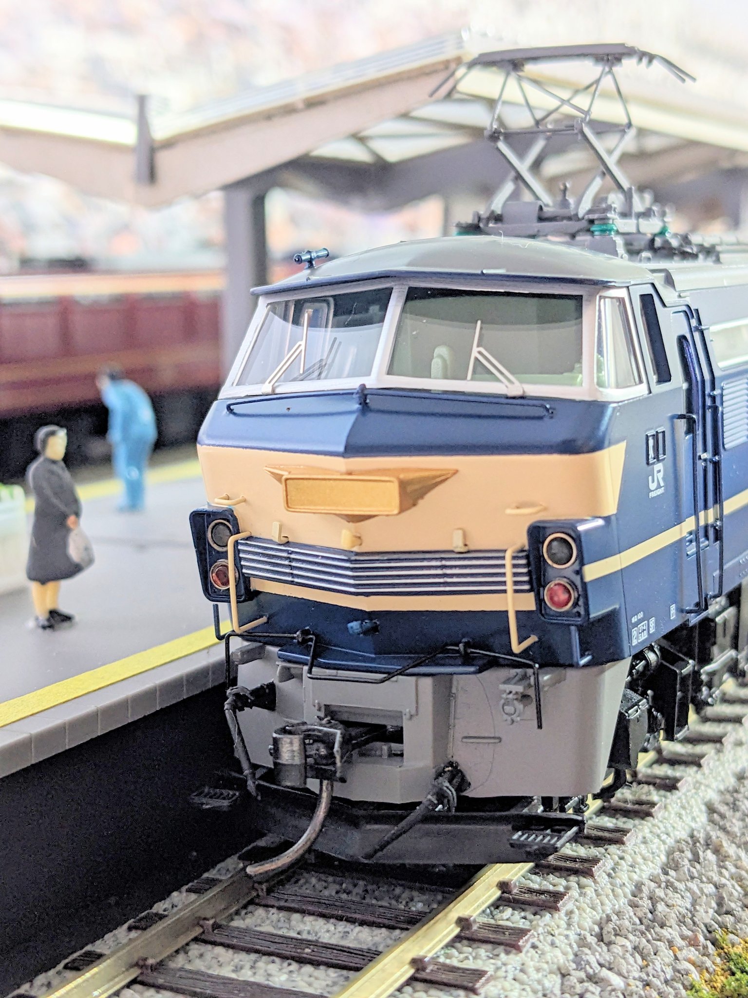 鉄道模型　プレート　さくら　激レア KATO】2023年12月末発売予定 C11 192 早岐機関区さくら牽引機