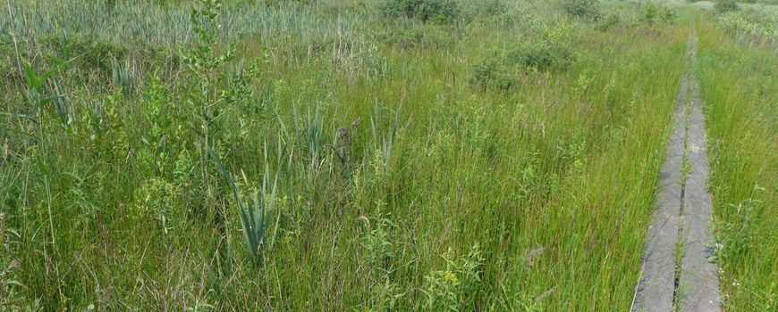 Nieuwe Gelderse monitoringsplannen om natuurherstel te volgen: In Natura 2000-gebieden worden planten en dieren geteld en habitattypen in kaart gebracht. Zo is te zien of de uitgevoerde herstelmaatregelen een positief effect hebben, maar er zit altijd… dlvr.it/TMf30X