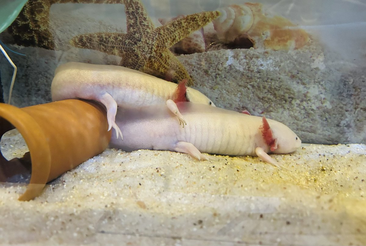 今日も仲良しさん💕