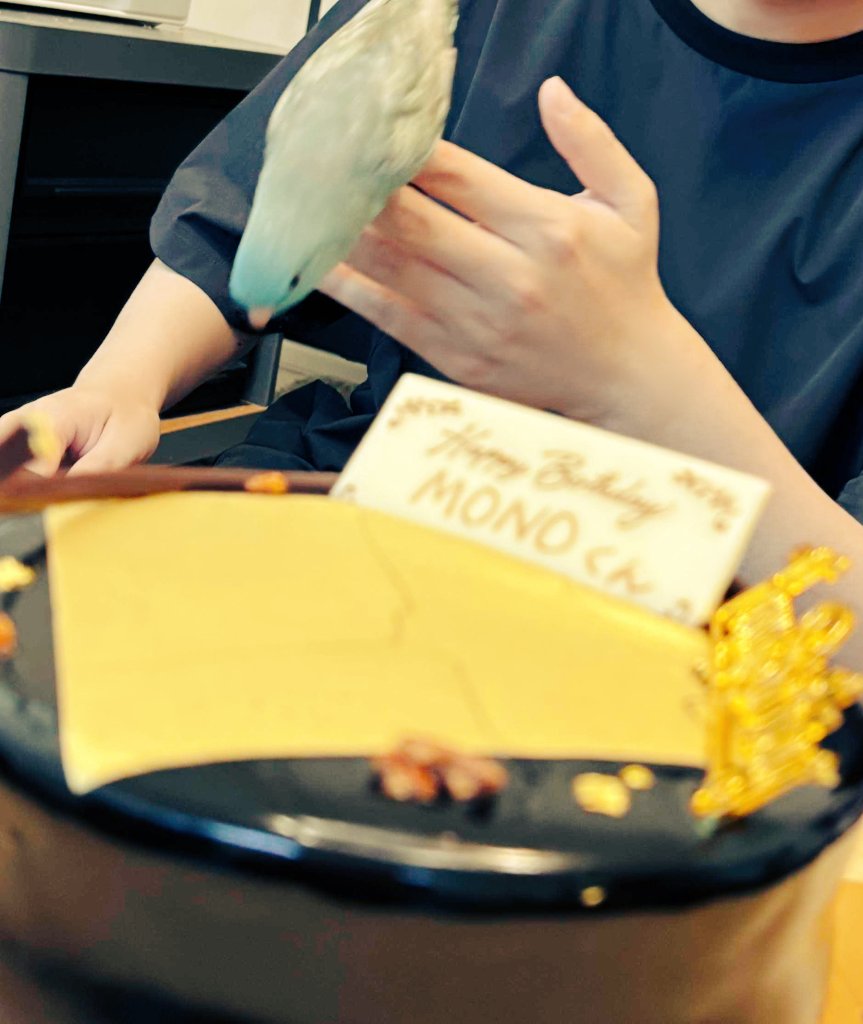 DevoidFire's tweet image. 誕生日を迎えました🍰🎈
MVやBGVなど制作させていただいた作品で、映像まわりの感想など見かけると嬉しくて励みになっております。
今後も制作を頑張っていきますので何卒よろしくお願いします⭕️