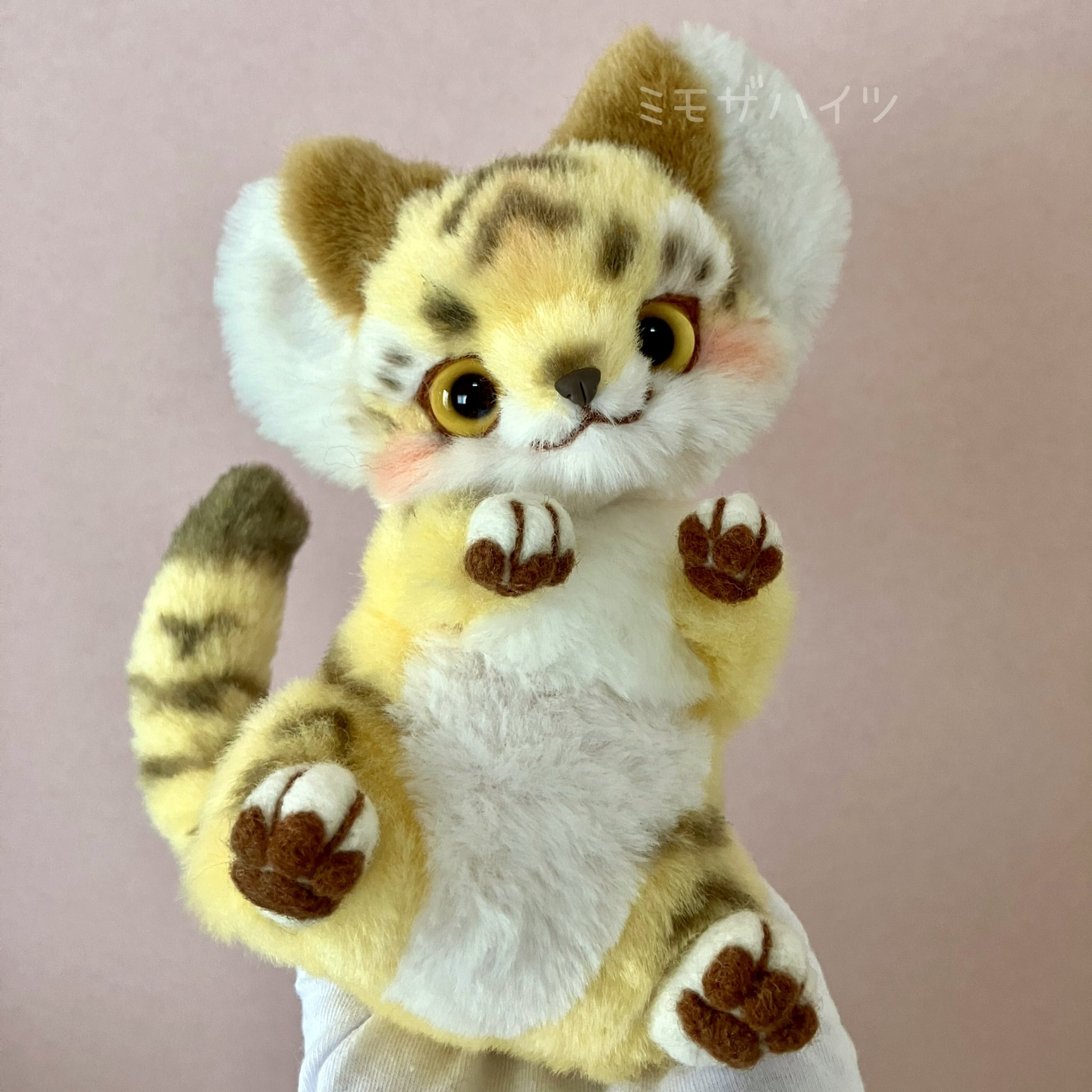 まめこ (@Mamekonokomame) / X