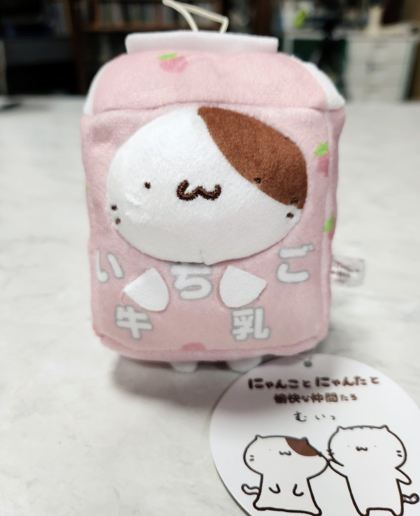 まめこ (@_nyanko_nyanta) / Posts / X