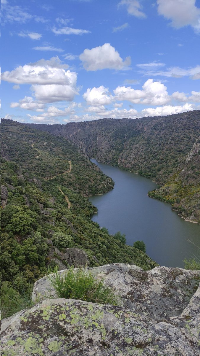 fbravo_SFM's tweet image. Hasta el 29 de agosto está abierta la #preinscripción el el máster #dataforest de @UVa_es ven y únete a @YoungForesters
+Info: iufor.uva.es/masterdatafore…

Inscríbete:
apps.stic.uva.es/preinsmaster/i…