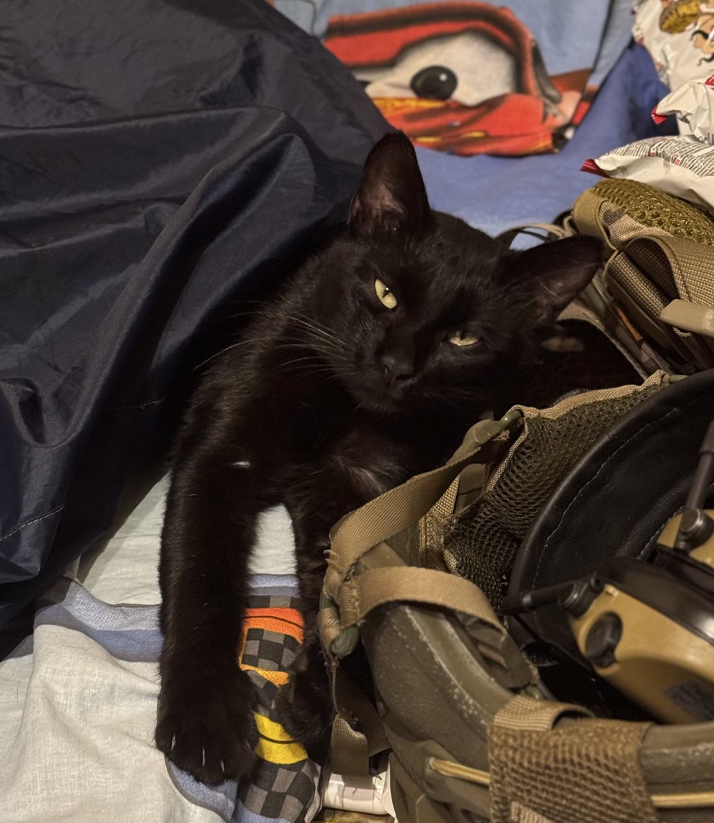 Майже 50к переглядів, а ніхто так і не написав… 

Шукаю цьому східняку дім, зможу завезти вам Харків, Полтава, Київ та область