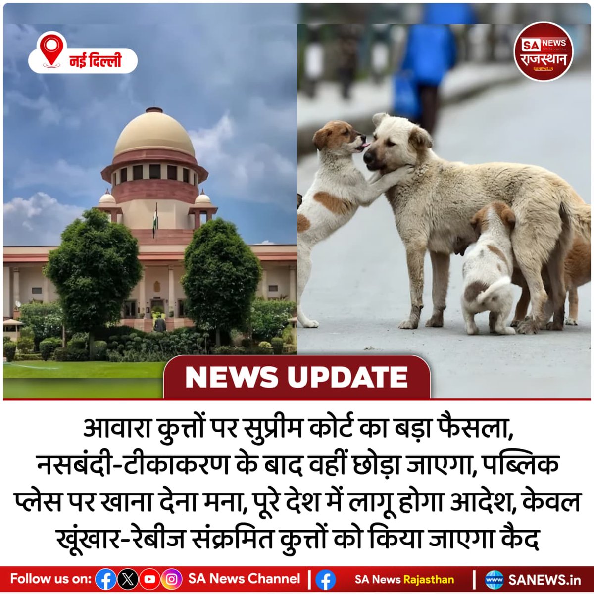 SANewsRajasthan's tweet photo. नई दिल्ली आवारा कुत्तों पर सुप्रीम कोर्ट का बड़ा फैसला, नसबंदी-टीकाकरण के बाद वहीं छोड़ा जाएगा, पब्लिक प्लेस पर खाना देना मना, पूरे देश में लागू होगा आदेश, केवल खूंखार-रेबीज संक्रमित कुत्तों को किया जाएगा कैद
#SupremeCourt #StrayDogs #IndiaNews #DogControl #AnimalRights https://t.co/zV3h77aP06