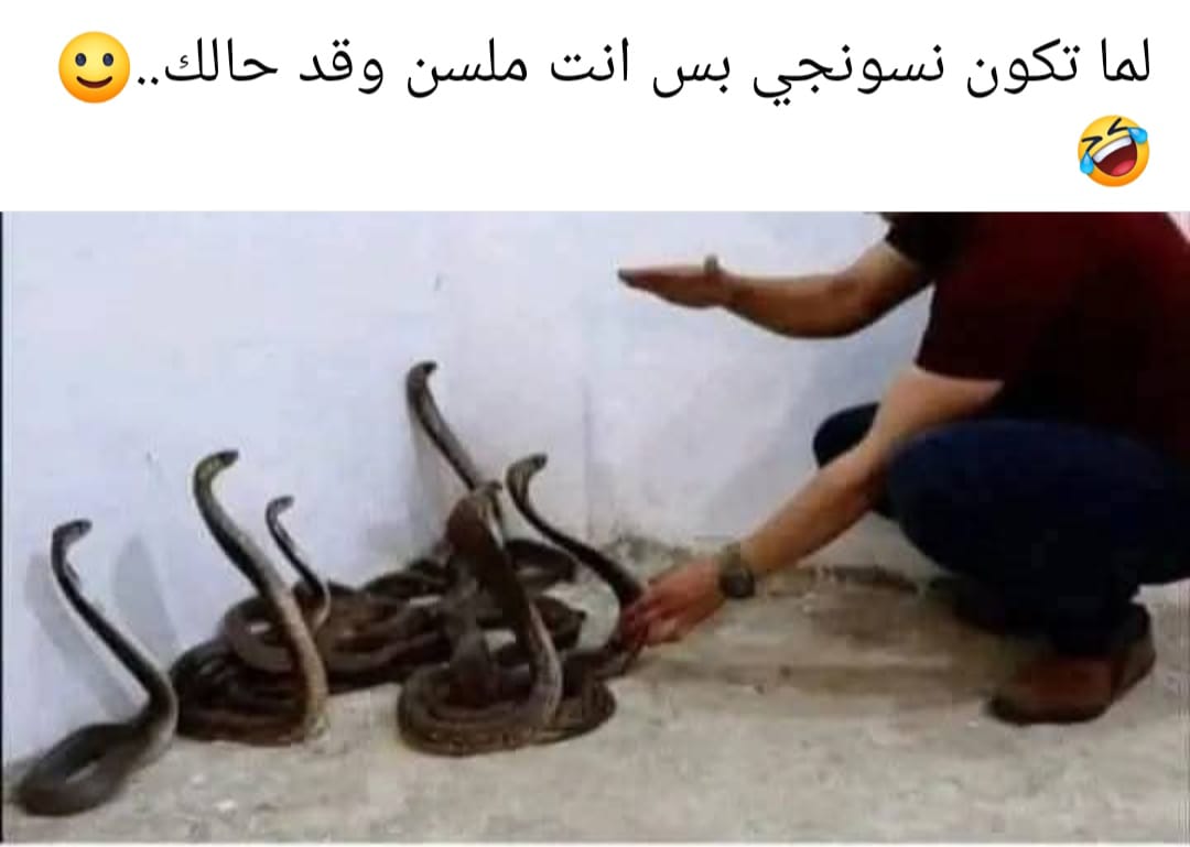 زُليخة (@ibm_ima) on Twitter photo 