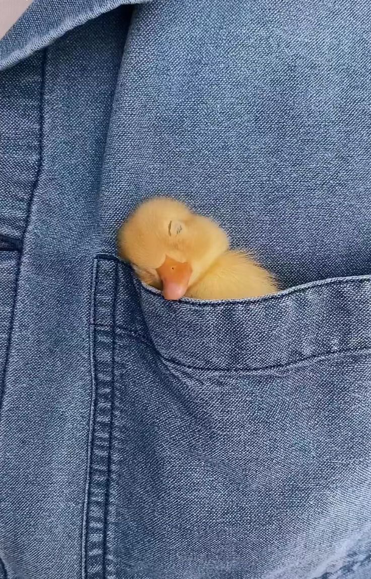 TIRAIKSH's tweet image. ️

“Sayang, mas bawa peta jalan - jalan ya.” 
 ️️

 ️️