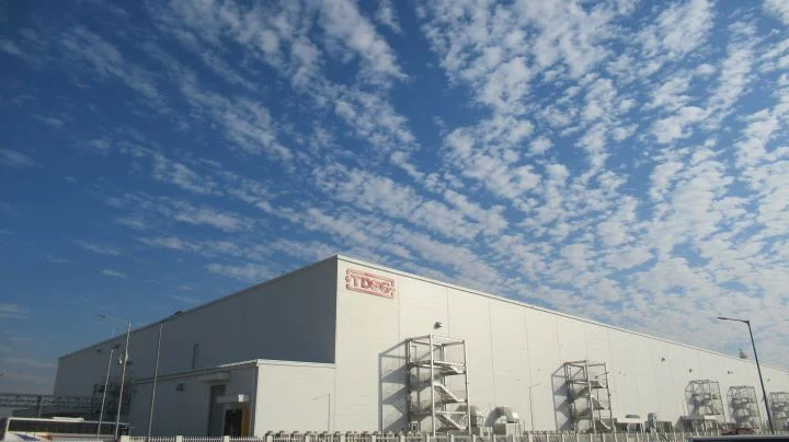 TDSG to launch electrode-level localisation at Hansalpur plant