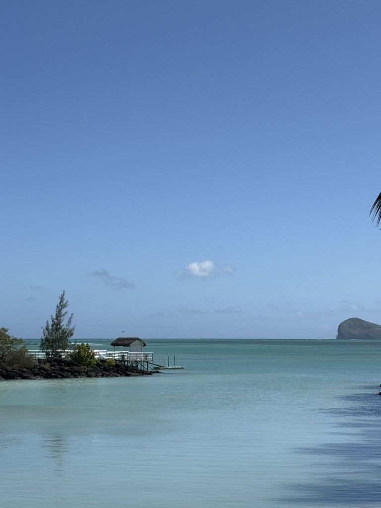 super bullish on mauritius 🫡