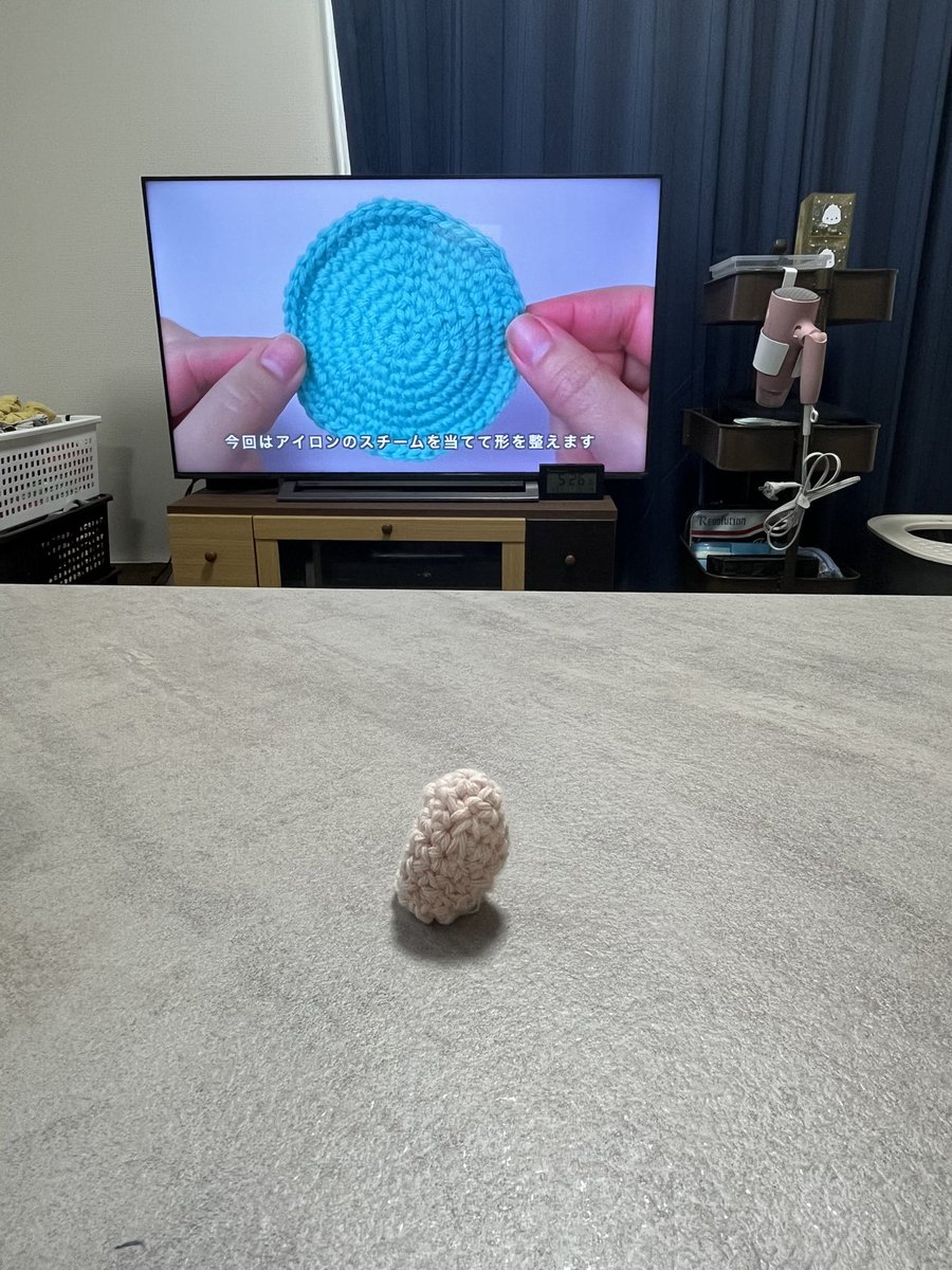 不器用にも程があるだろ、これは
犬猫の服が作れるようになるのは来世かな