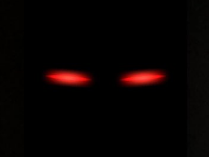 noodest's tweet photo. @akoi4u @foolmaxxer ? https://t.co/48eD7Cq2b6