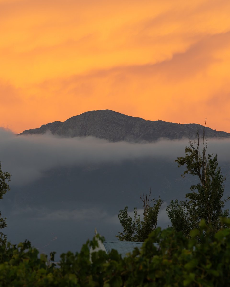 Road trip playlist on, windows down, the mountain pass ahead.

A quick stop at Chef &amp; Co for treats… then check-in at Saronsberg Cellar. Unpack, pour a glass of award-winning wine, light the fire, and watch the sun dip. 

📸 Chef &amp; Co | Saronsberg Cellar | Dear Travallure
