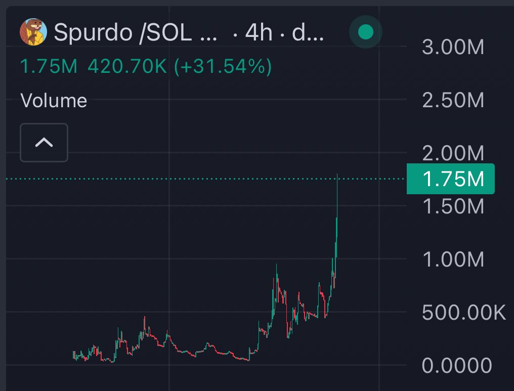 Little Mustacho 🐕 tweet media