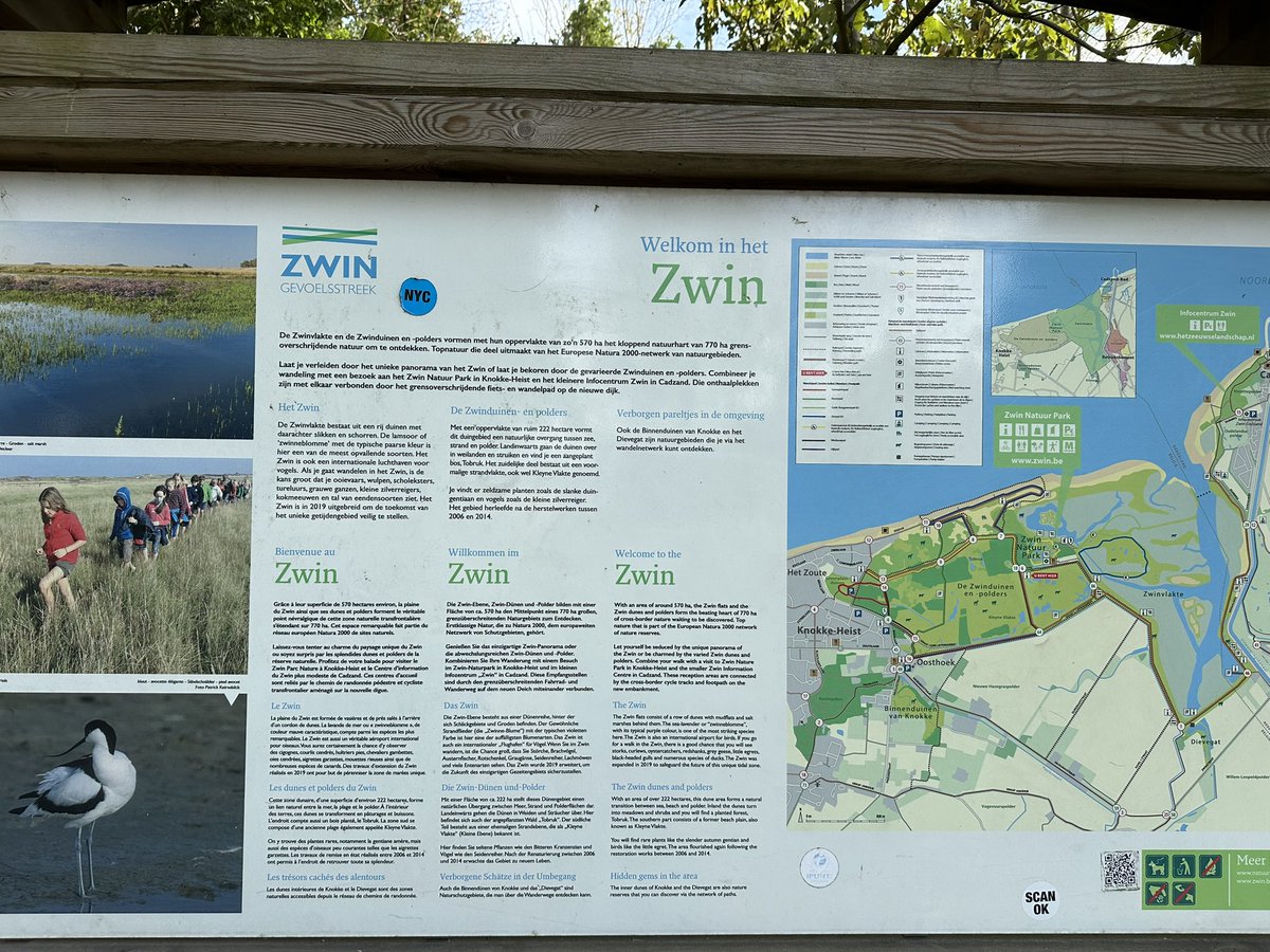 Jurgen Vluijmans tweet media