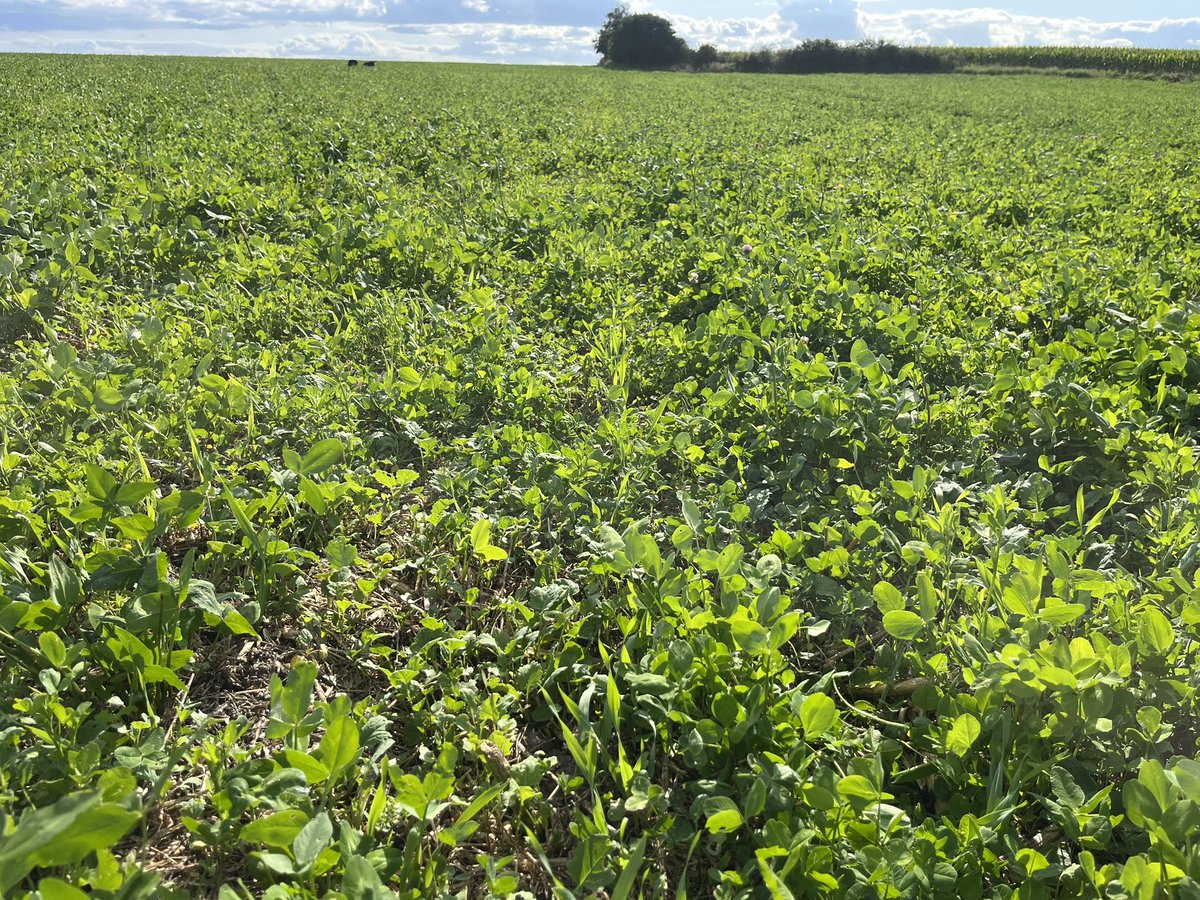 Frederik V. Larsen tweet media