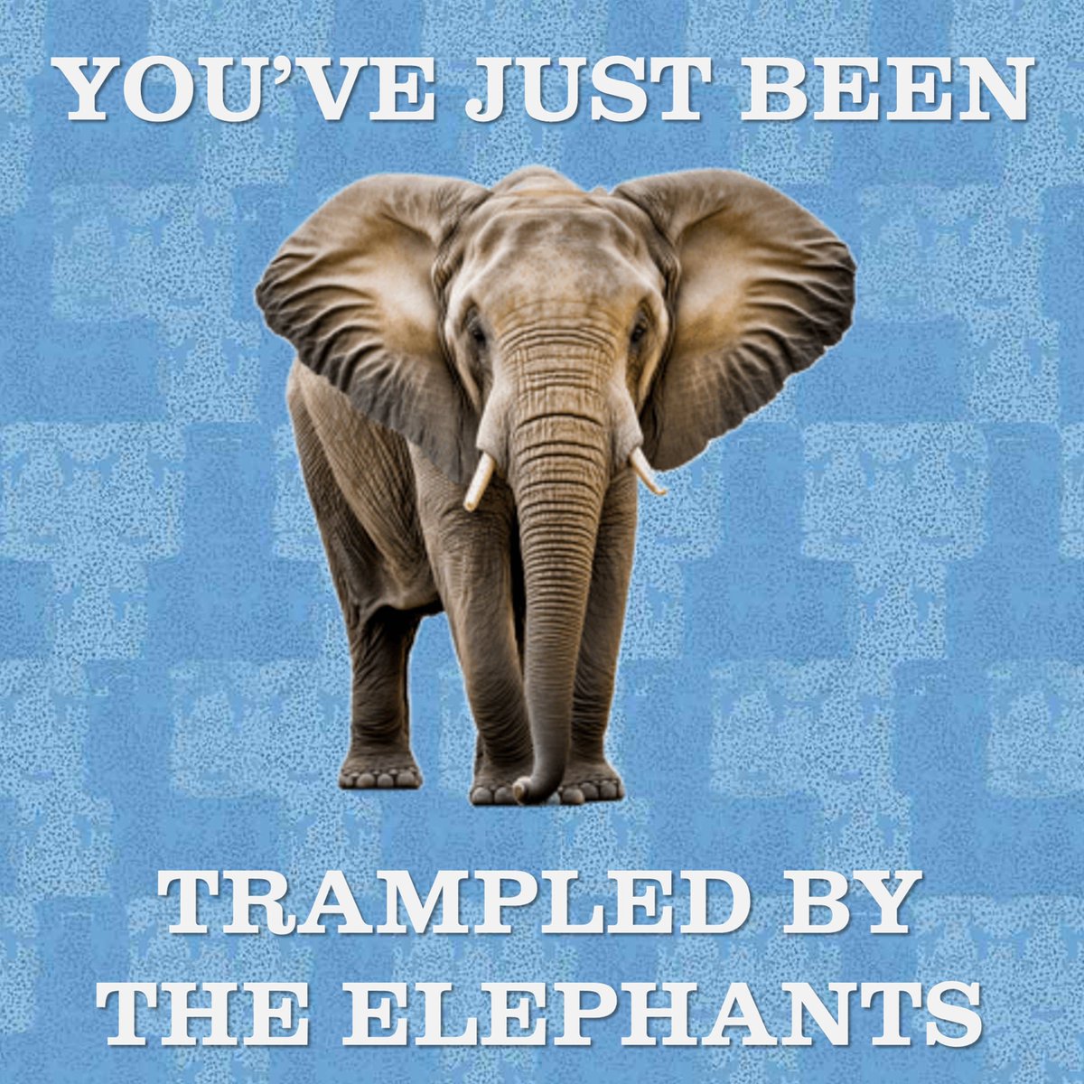 SBA_CCFC's tweet image. Mike Ashley #PUSB